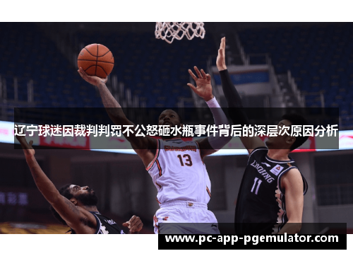 辽宁球迷因裁判判罚不公怒砸水瓶事件背后的深层次原因分析