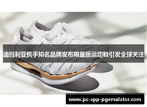 迪玛利亚携手知名品牌发布限量版运动鞋引发全球关注 迪玛利亚携手知名品牌发布限量版运动鞋引发全球关注