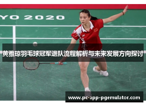 黄雅琼羽毛球冠军退队流程解析与未来发展方向探讨
