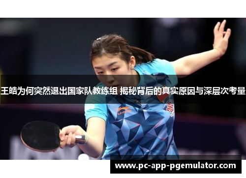 王皓为何突然退出国家队教练组 揭秘背后的真实原因与深层次考量
