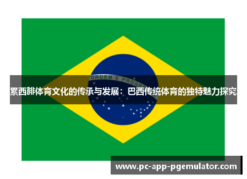 累西腓体育文化的传承与发展：巴西传统体育的独特魅力探究
