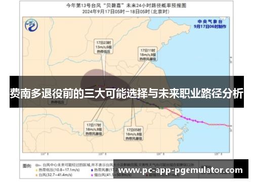 费南多退役前的三大可能选择与未来职业路径分析