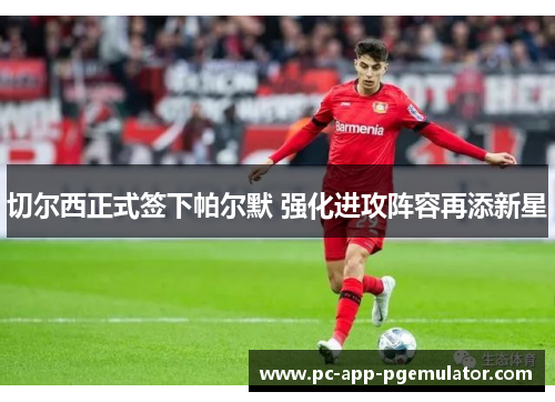 切尔西正式签下帕尔默 强化进攻阵容再添新星 切尔西正式签下帕尔默 强化进攻阵容再添新星